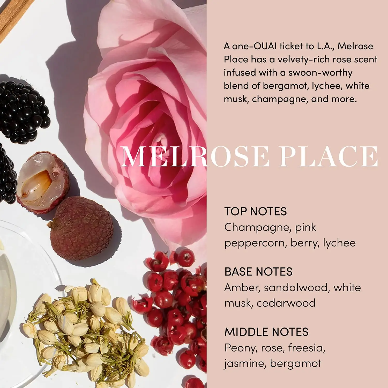 OUAI Melrose Place body wash is a foaming cleanser with rosehip and jojoba oil to hydrate, nurture, balance, and soften skin, leaving you with a luxurious at-home spa experience.