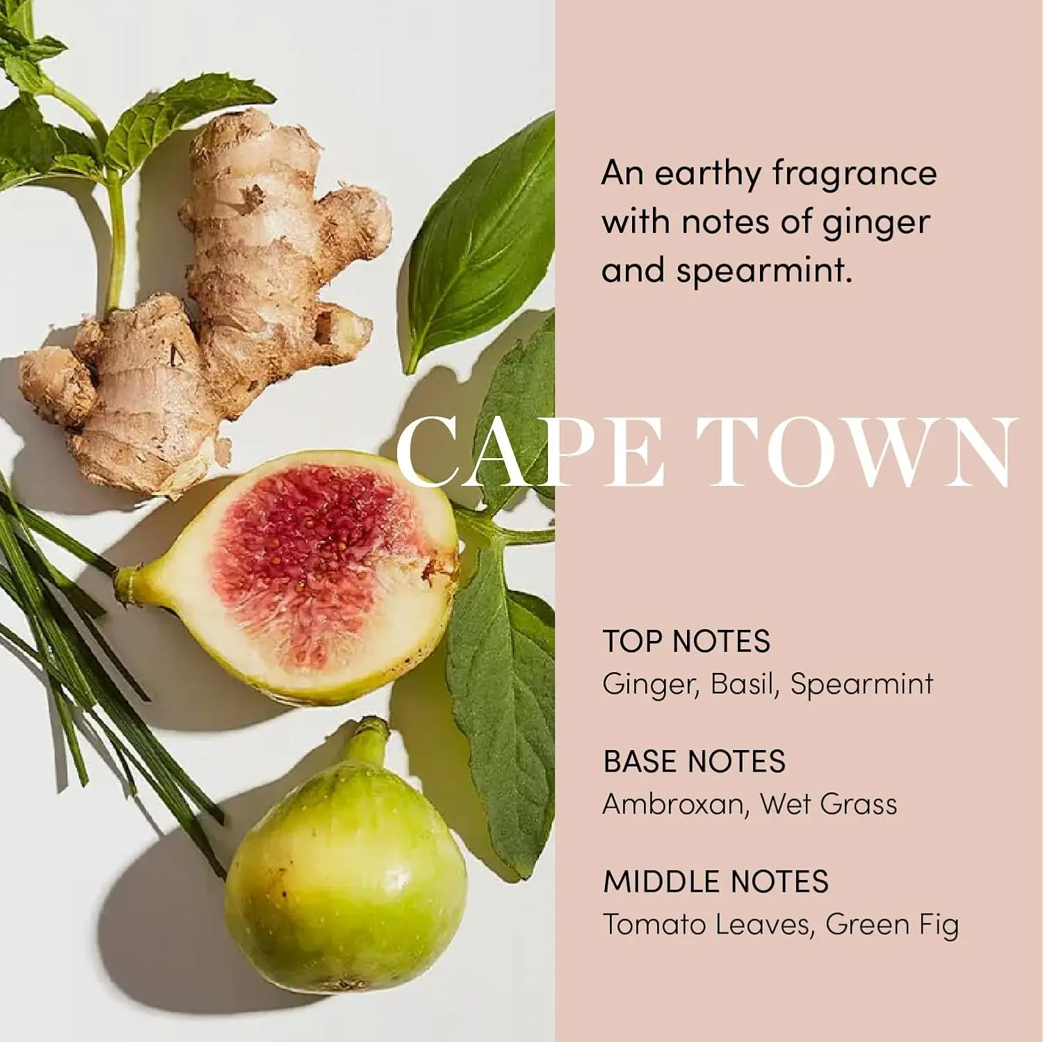 OUAI scalp serum promotes a healthy scalp barrier and hydrates dry scalps for thicker, fuller-looking hair.