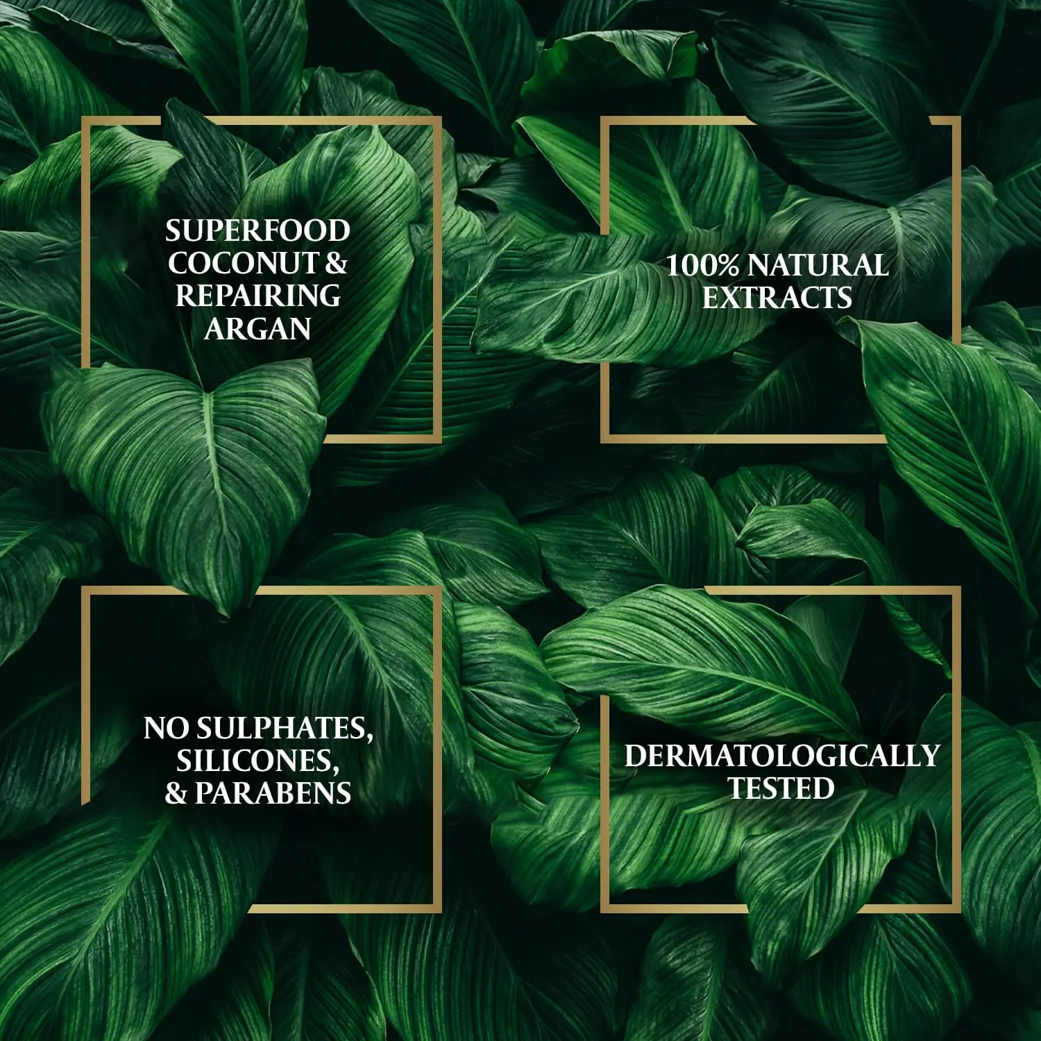 Parachute Advansed argan oil with coconut blend nourishes and strengthens dry, damaged hair, making it smoother with every use.