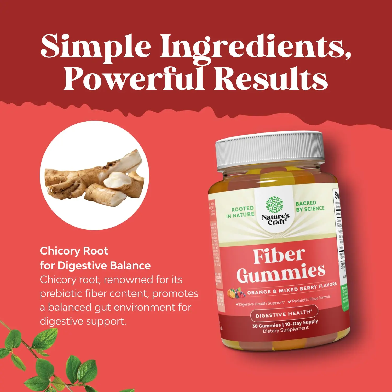 Natures Craft prebiotic fiber gummies support gut health, digestive support, and immunity with inulin and chicory root fiber in a tasty, halal, and vegan gummy.