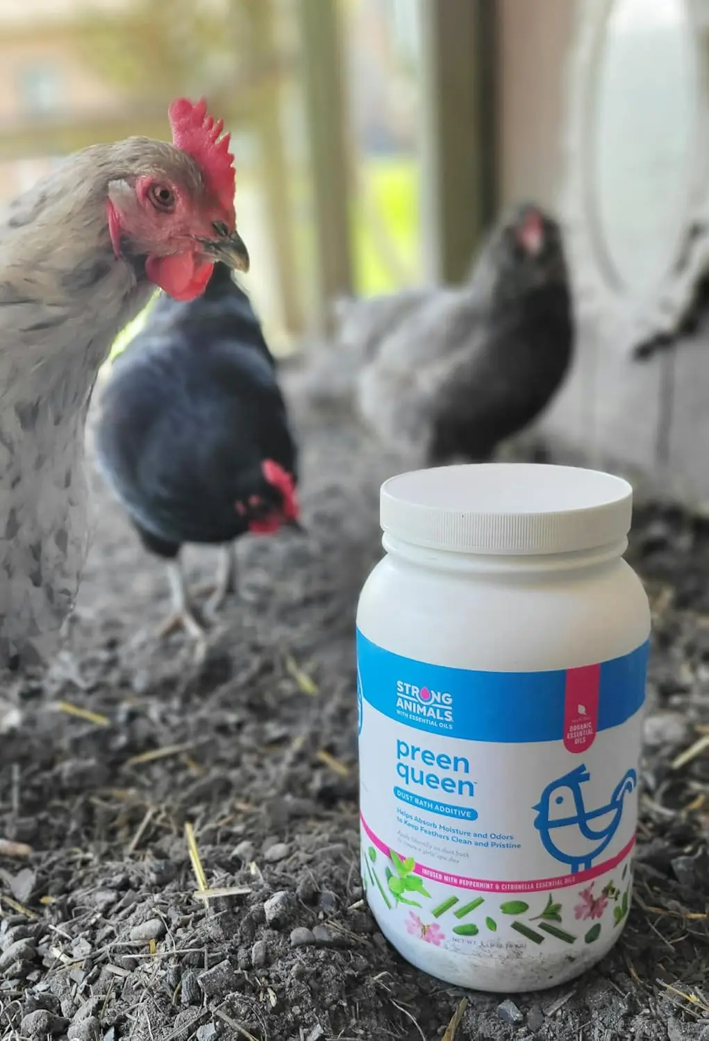 Preen Queen chicken dust bath additive with peppermint and citronella essential oils helps absorb moisture and odors for all types of poultry.