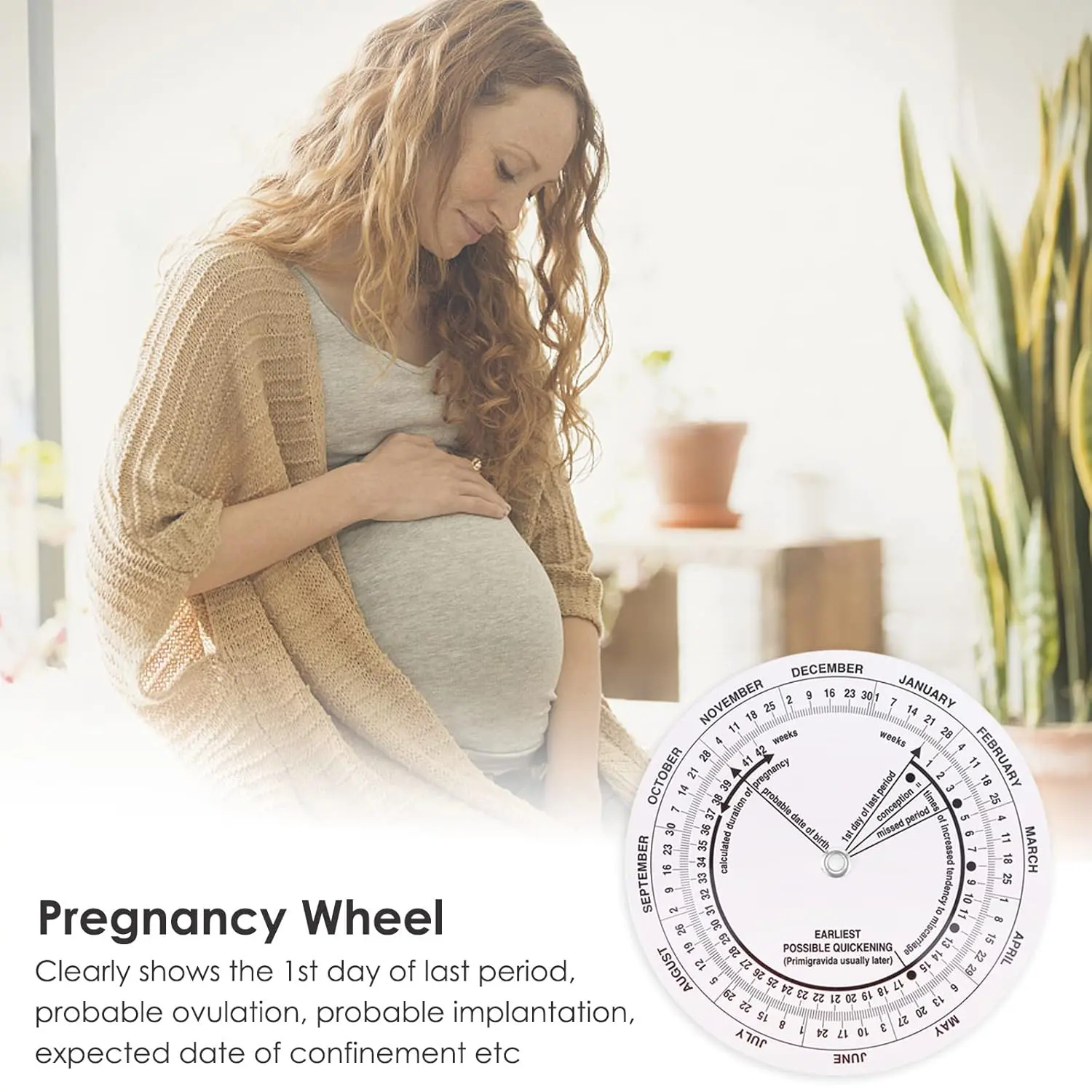 This pregnancy wheel calculator made of durable ABS material helps determine the probable ovulation, implantation, and expected due date.