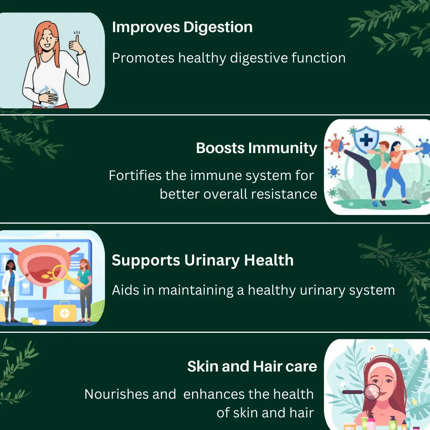 This is a pack of three 100gm bags of organic Rasayan Churna, also known as Amrutadi Churna, an Ayurvedic powder with Guduchi, Gokshura, and Amla that is useful as a general tonic, for urinary disorders, and to help boost immunity power.