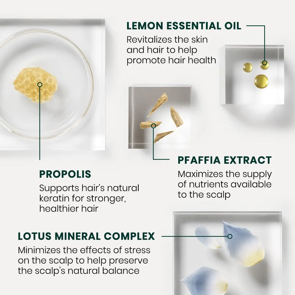 Rene Furterer Triphasic Reactional Anti Hair Loss Treatment for sudden hair loss, containing 12 vials.