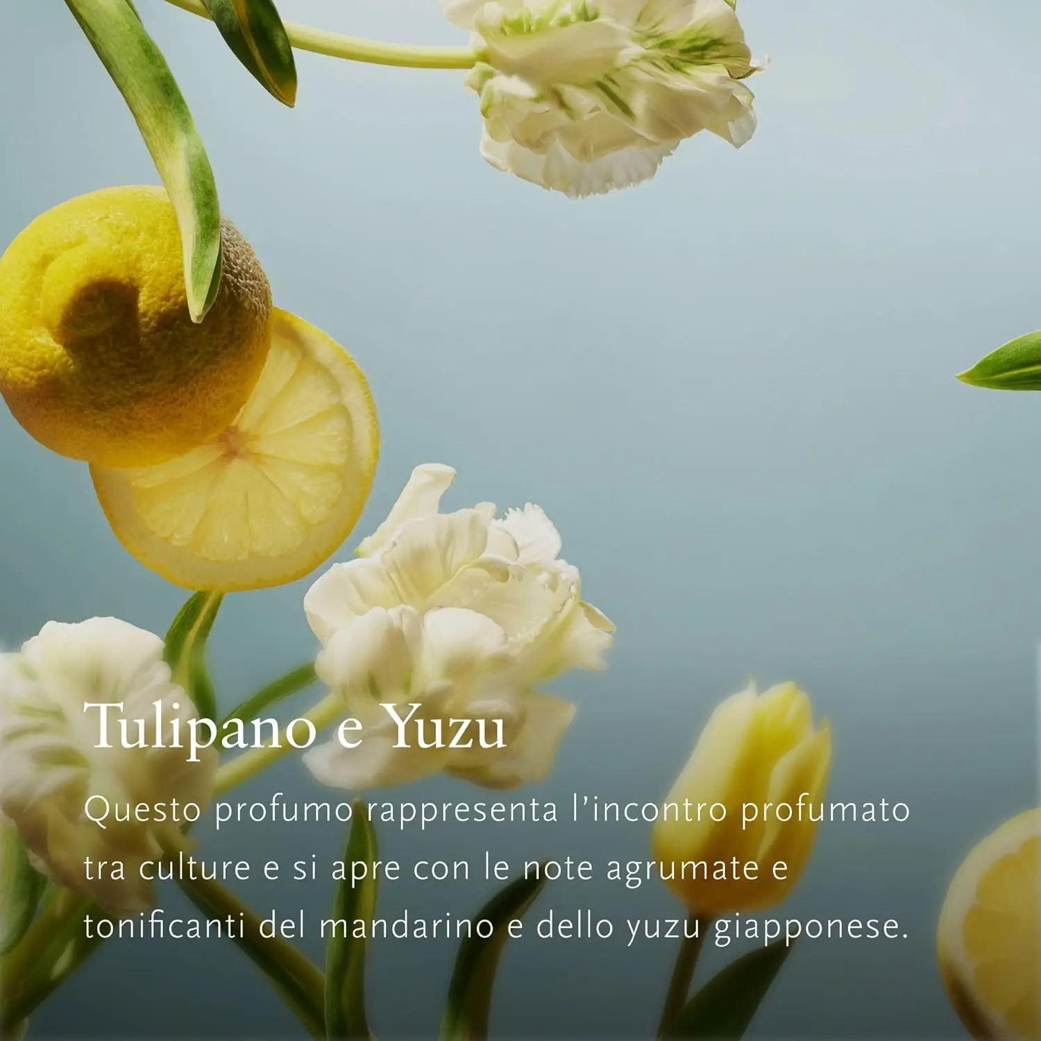 RITUALS Amsterdam Collection gift set pouch containing four body care products scented with Japanese yuzu and Dutch tulips, perfect as a gift for women.