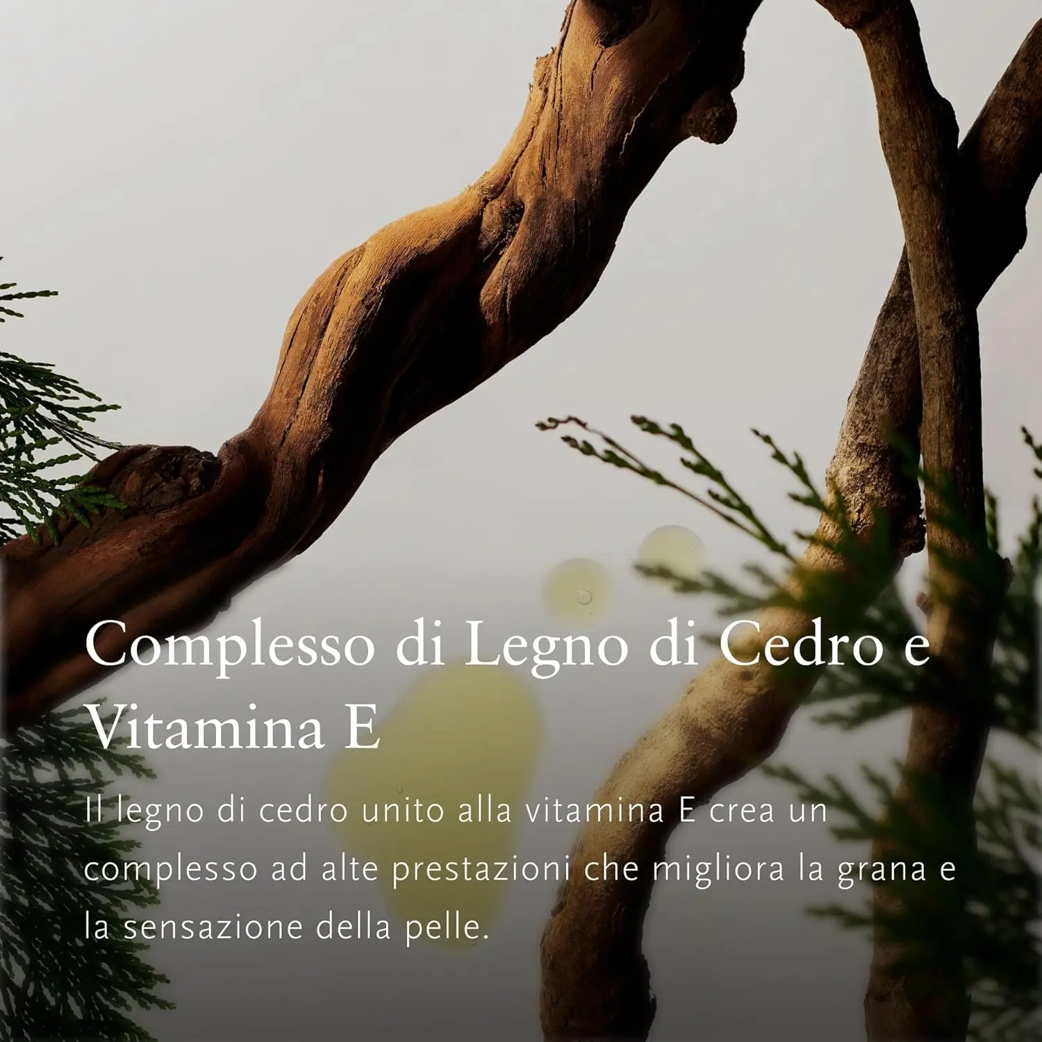 RITUALS Homme gift set featuring shower foam, shampoo, shower gel, and body cream formulated with bamboo, mint and cedar wood for invigorating men's skin care.