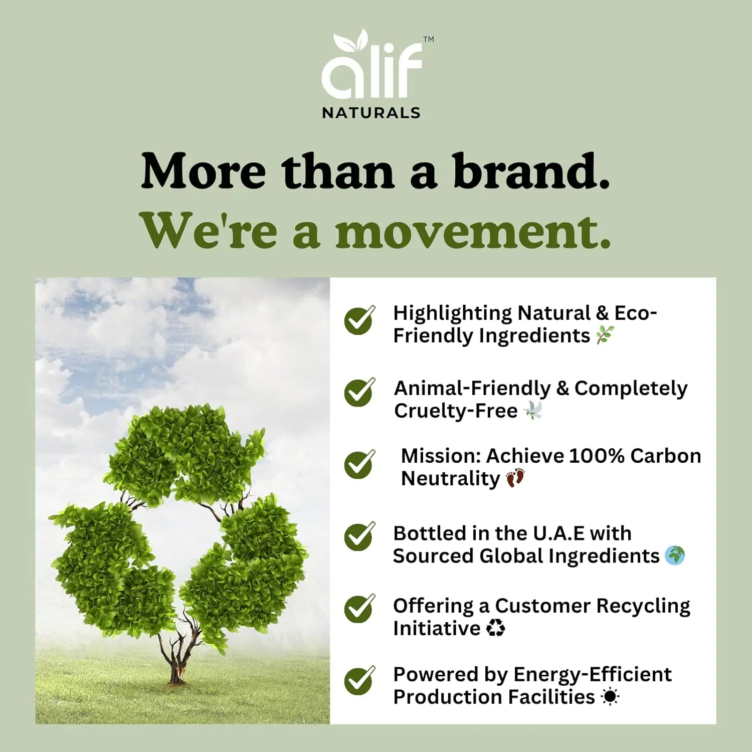 Concentrated rosemary hair treatment oil with biotin and batana helps reduce hair fall, strengthen roots and support hair regrowth for thicker, stronger hair.