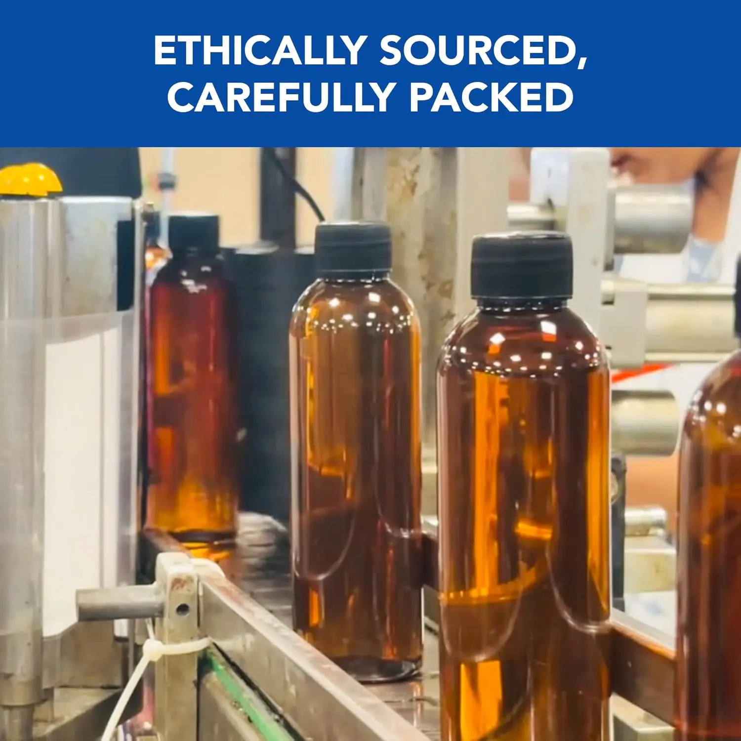 Botanic Hearth rosemary oil for hair promotes hair growth, strengthens hair follicles, and reduces dandruff with biotin, jojoba, and castor oil.