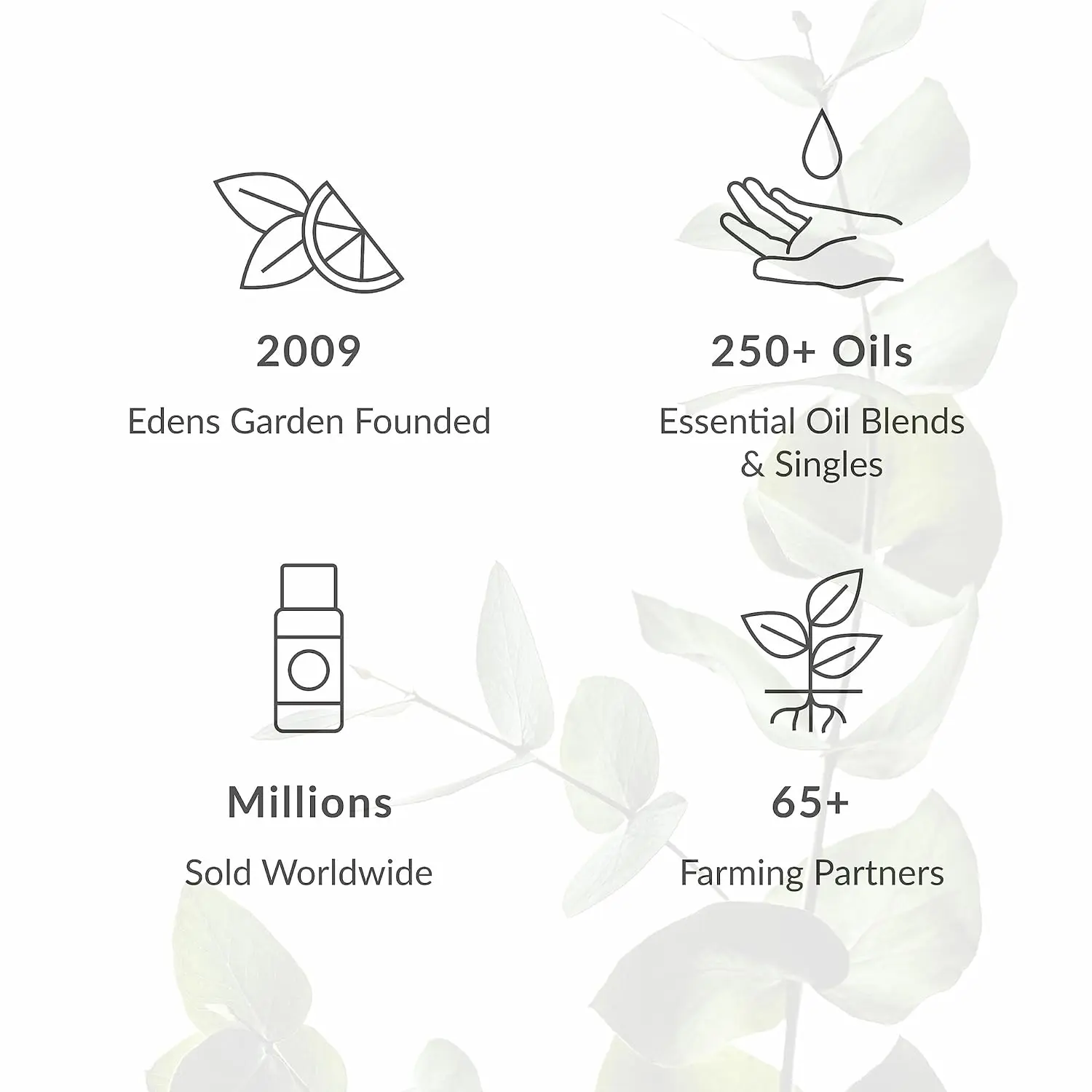 A 10 ml bottle of Edens Garden Hawaiian Sandalwood essential oil, a pure, GC/MS tested therapeutic grade oil ideal for perfumes, body care, and diffusion.