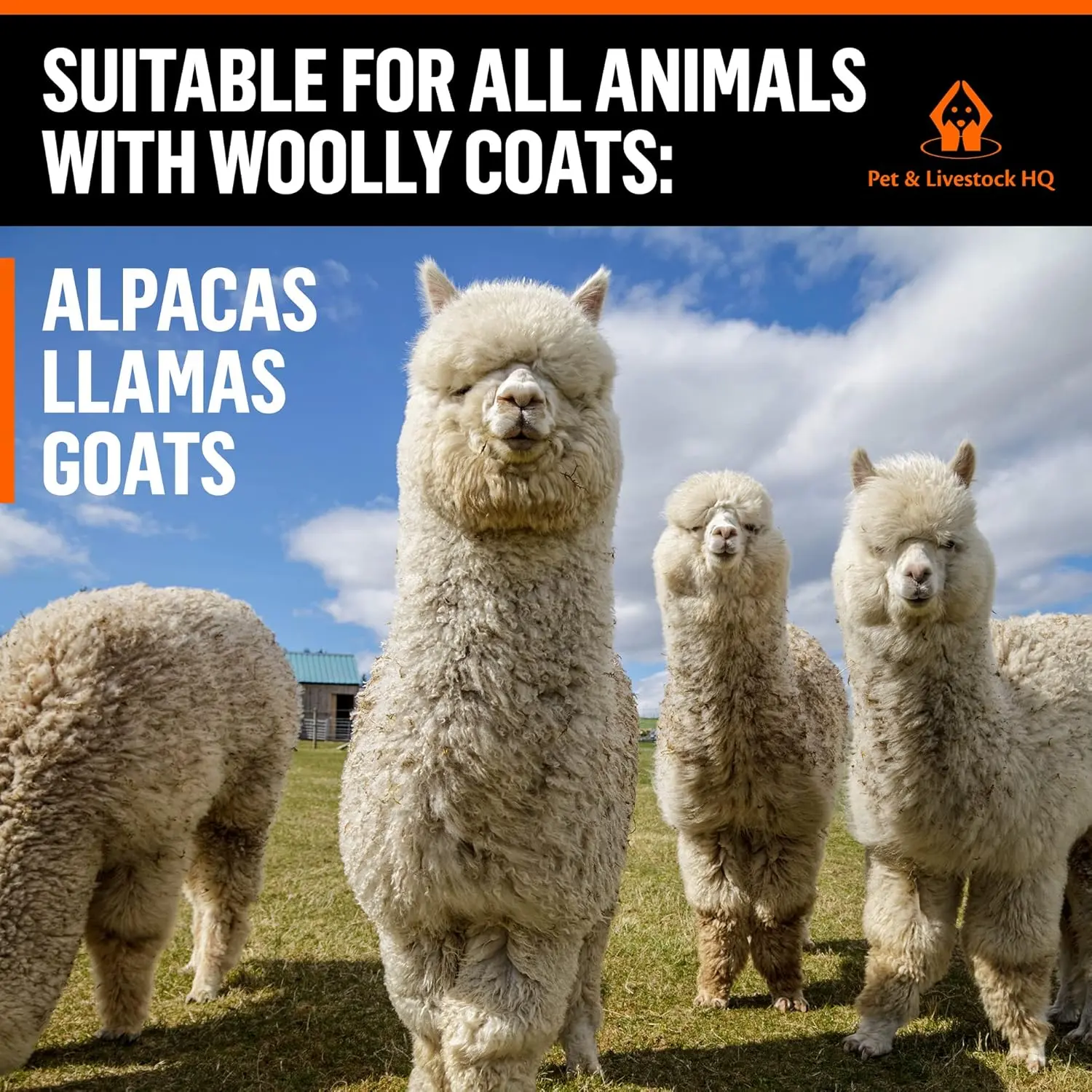 Pet & Livestock HQ electric sheep shears efficiently groom sheep, goats, alpacas, llamas, and angora rabbits with its durable copper motor and sharp steel blades, all in a portable kit.