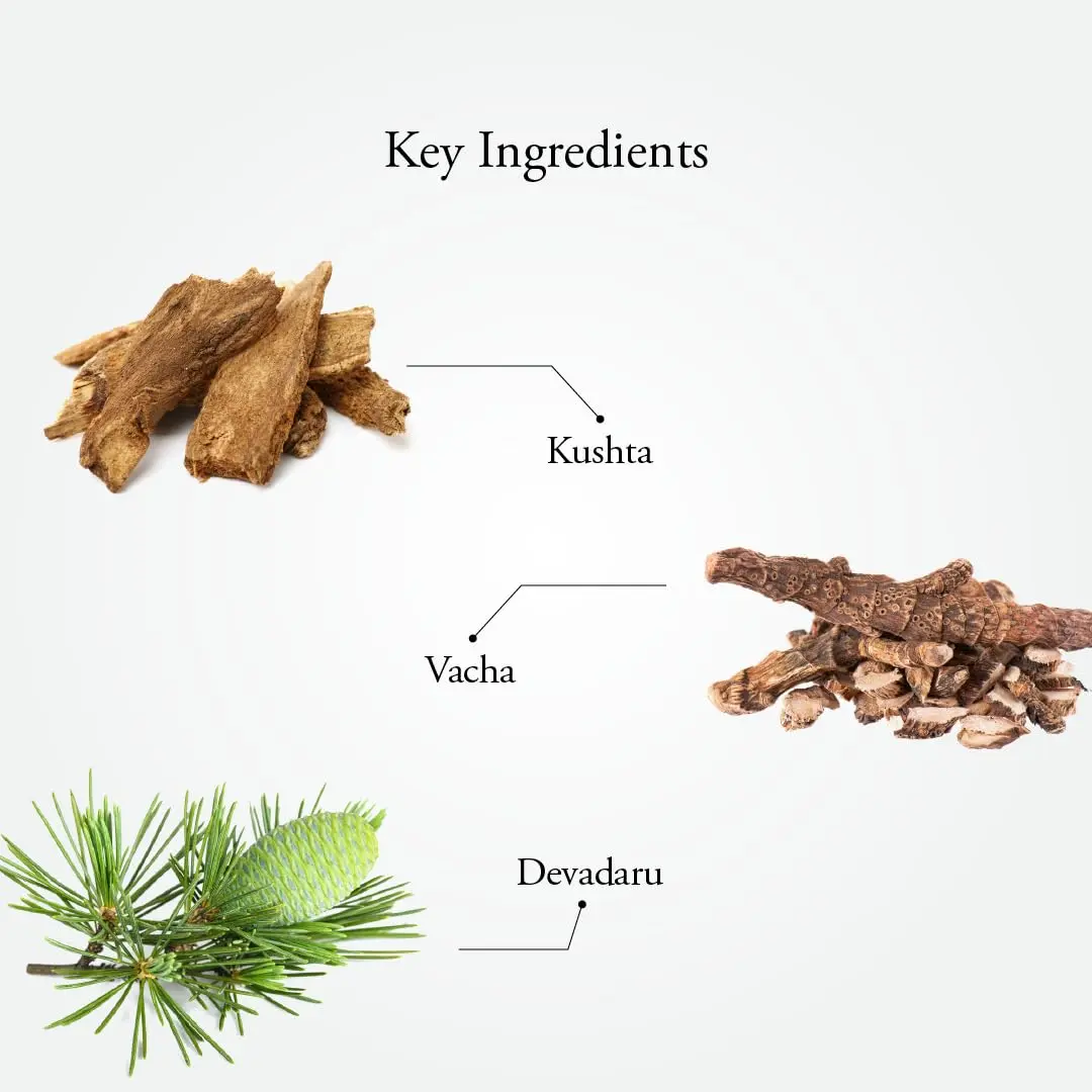 Sitaram Ayurveda Saplint Plus liniment provides immediate relief from muscle pain, stiffness, and inflammation caused by sprains, strains, sciatica, and other rheumatic conditions.