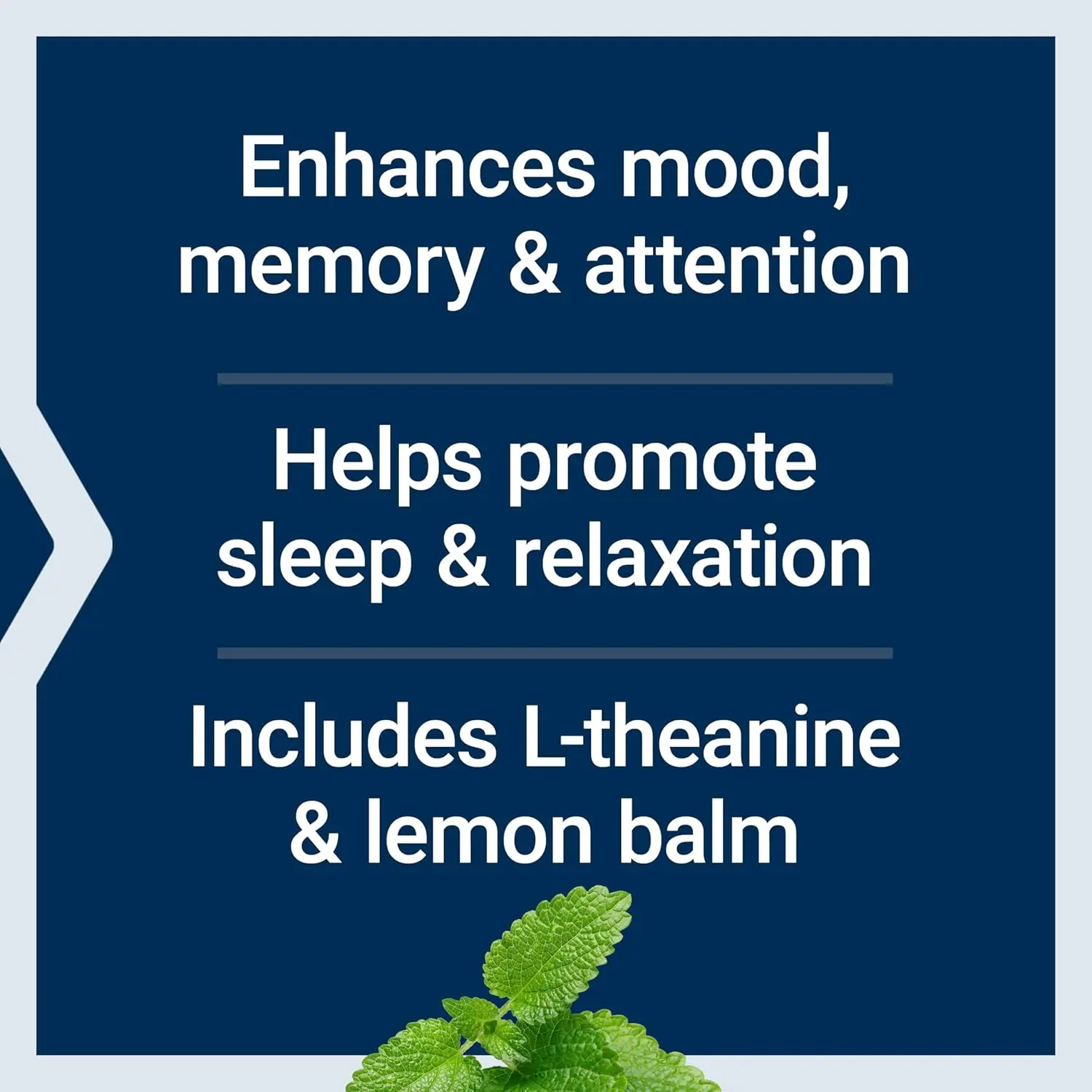 This natural stress relief supplement contains L-theanine and lemon balm to promote relaxation, calm the mind, and support a healthy stress response.