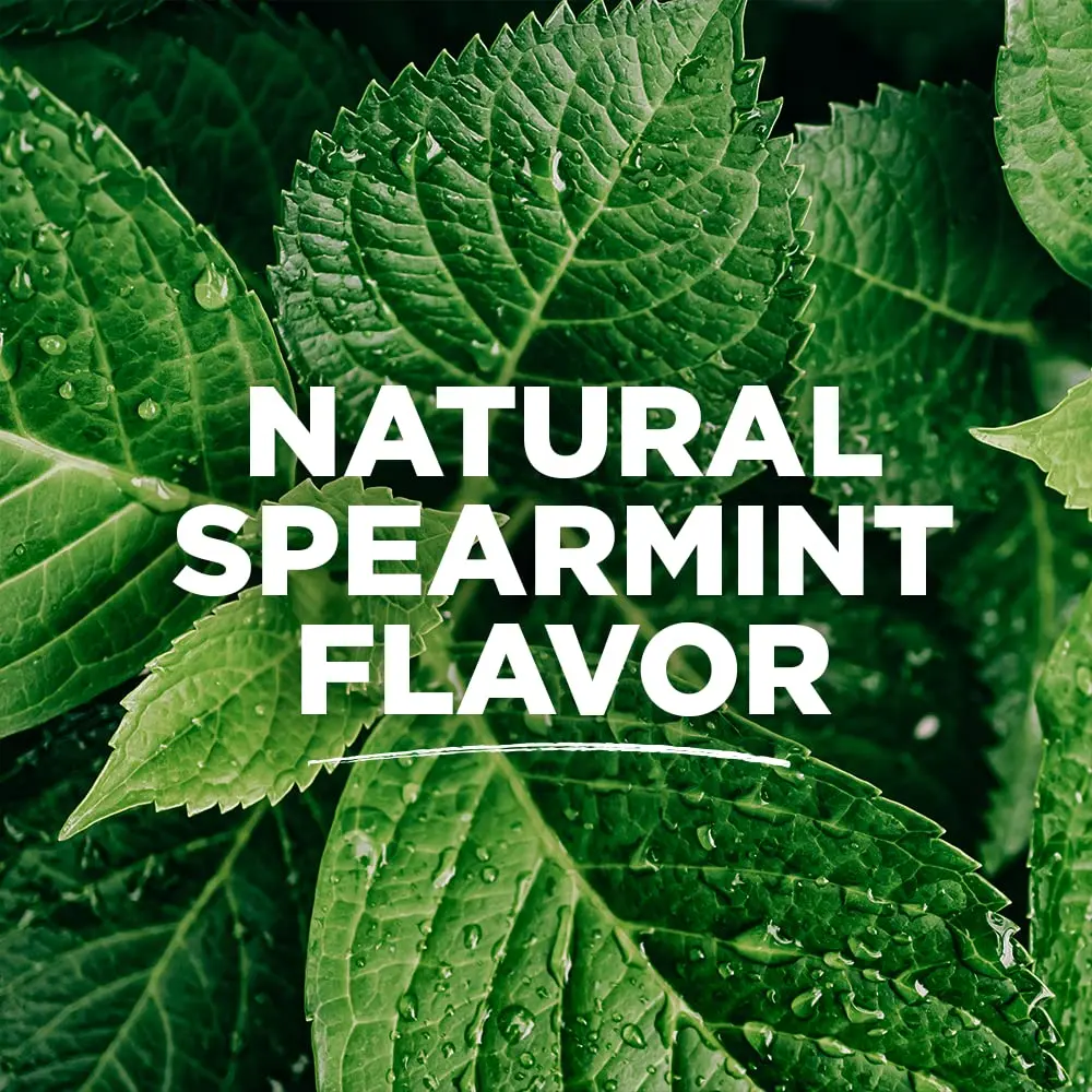 Six packs of Tom's of Maine naturally waxed antiplaque flat dental floss in spearmint flavor.