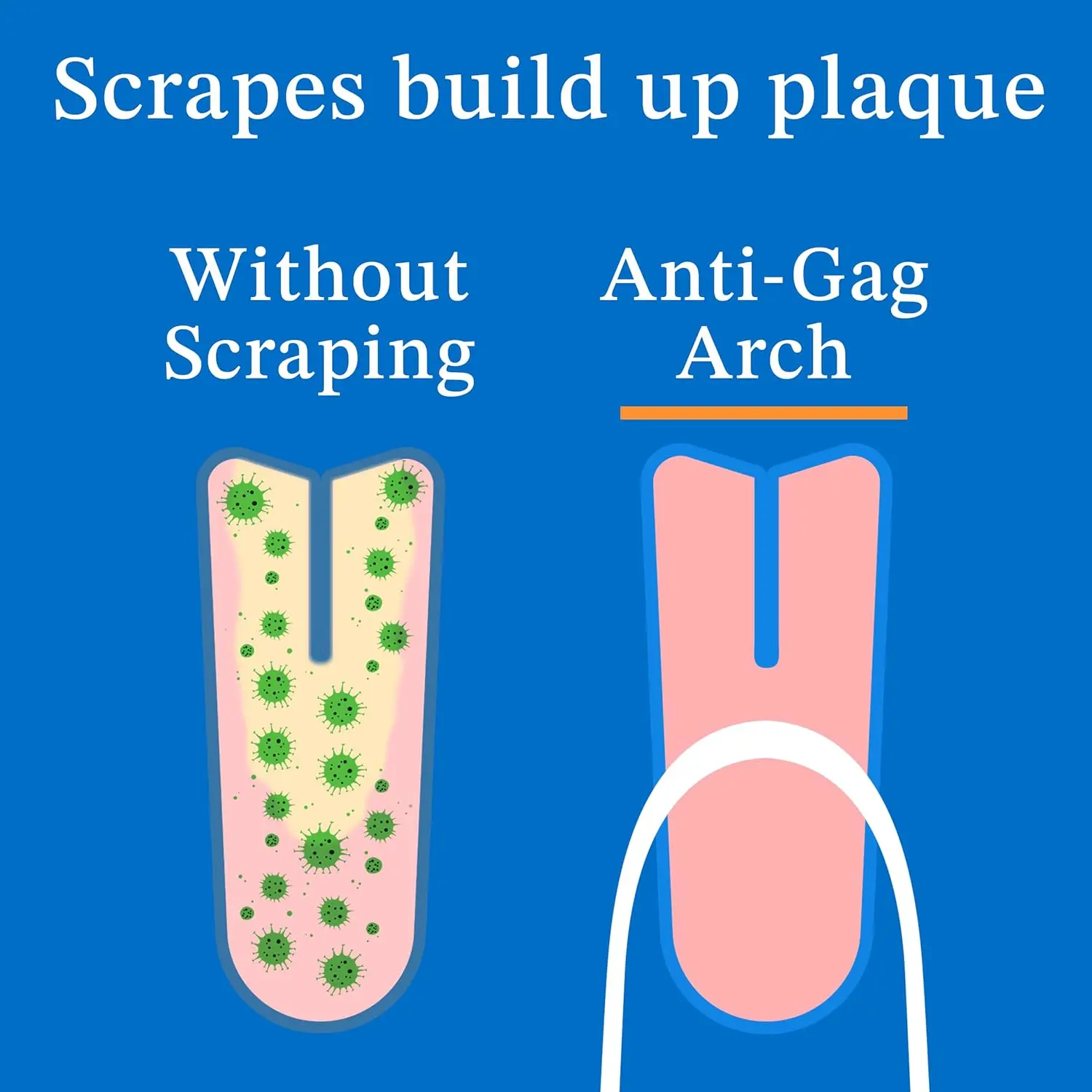 This stainless steel tongue scraper 2-pack with a case offers an effective and durable solution for reducing bad breath and cleaning your tongue.