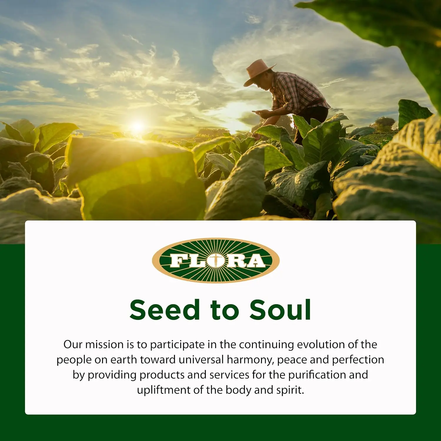 Flora Udo's Choice Oil blend, rich in omega 3, 6, and 9 fatty acids, supports stamina, recovery, and metabolic function, ideal for daily use.