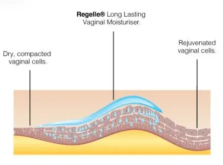 This image shows a pack of twelve Regelle vaginal moisturiser pre-filled applicators, each containing 6.5g of moisturising gel to relieve vaginal dryness.