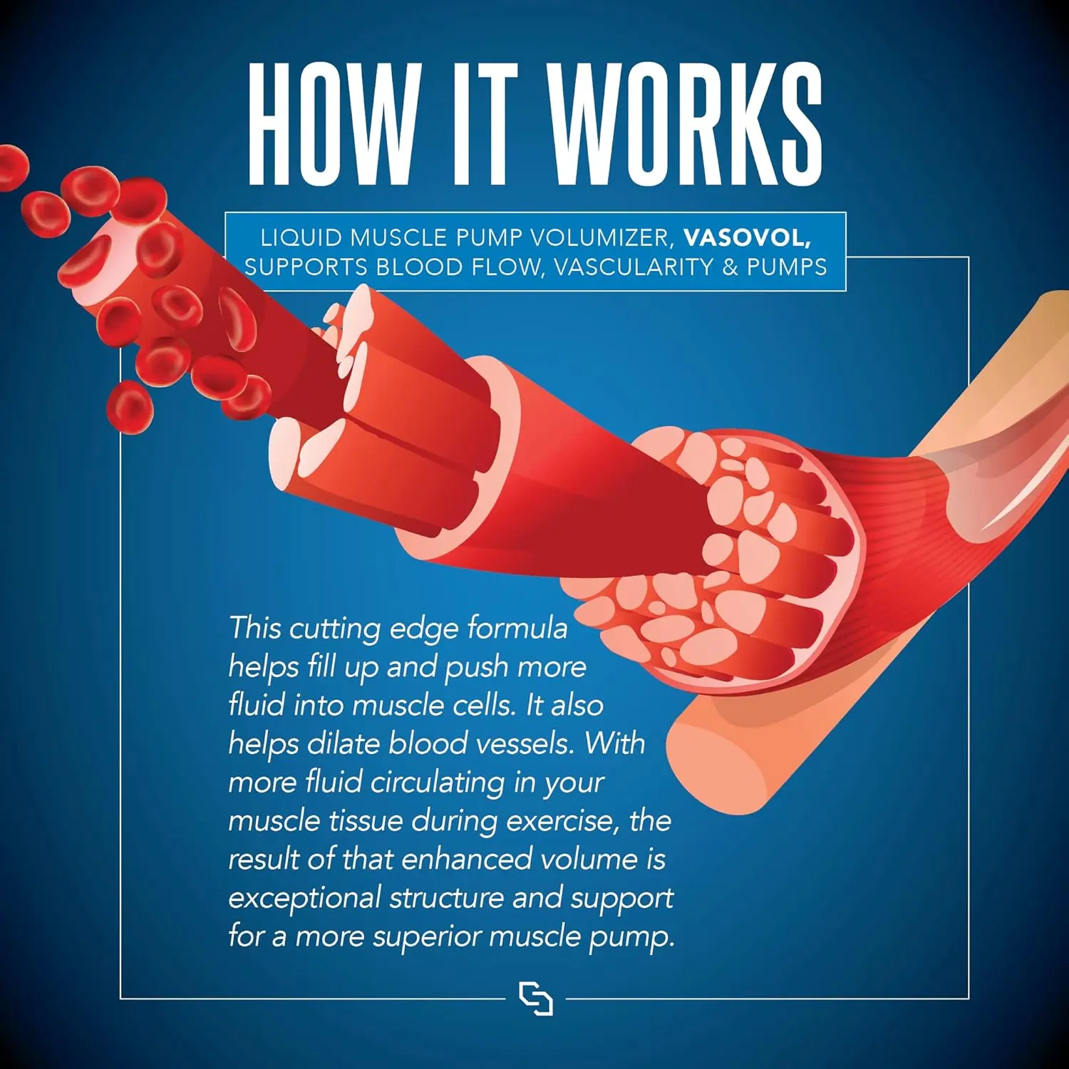 Siren Labs Vaso-VOL mixed berry flavored liquid volumizer for enhanced muscle pumps, vascularity, and athletic performance.