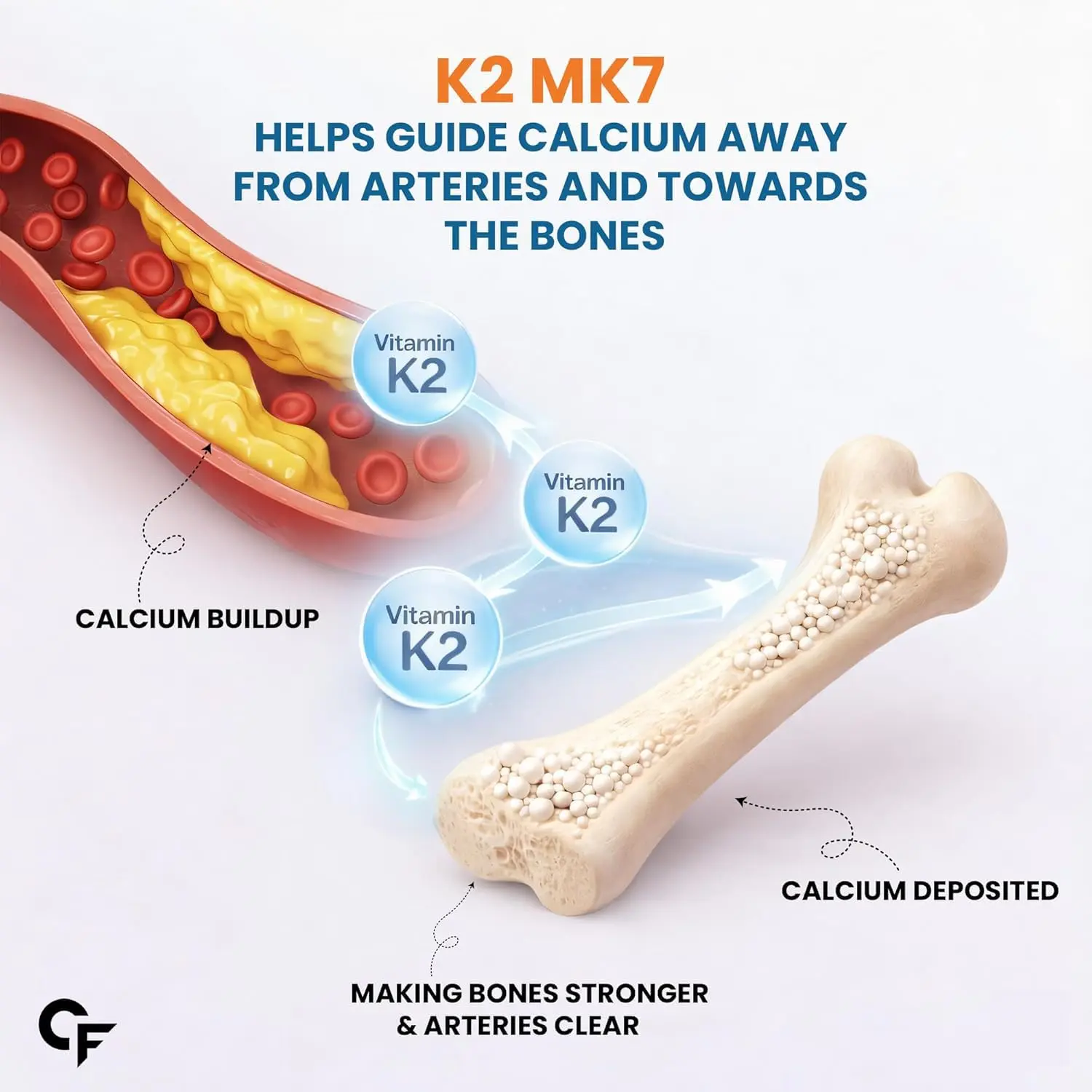 Vitamin D3 K2 supplement promotes calcium absorption for strong bones and supports a healthy heart in both men and women.