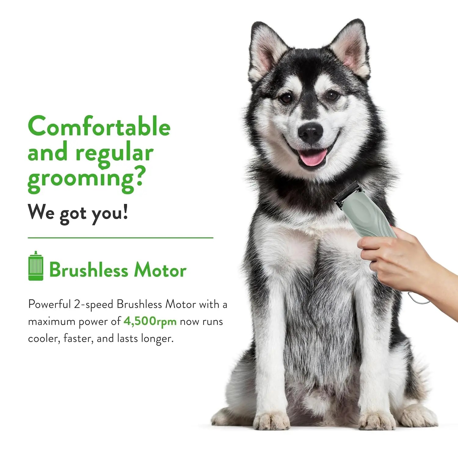 The Wahl Professional Animal cordless clipper is perfect for grooming dogs, cats, horses, and livestock with its low noise operation and ability to cut through matted fur.