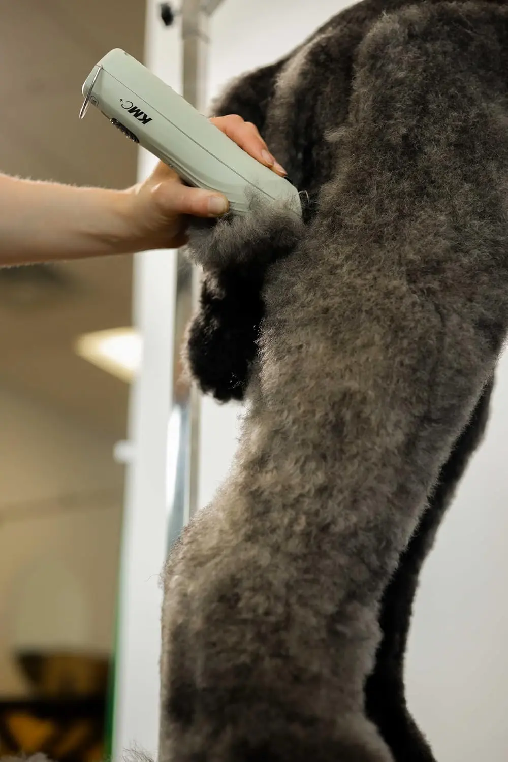 The Wahl Professional Animal cordless clipper is perfect for grooming dogs, cats, horses, and livestock with its low noise operation and ability to cut through matted fur.
