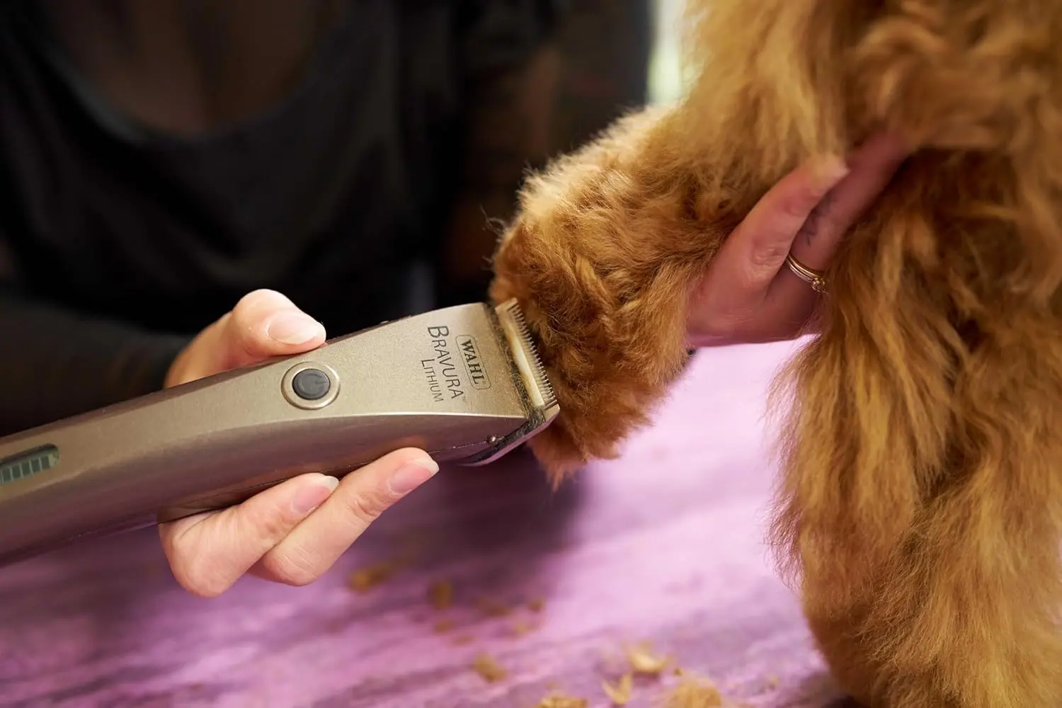 The WAHL Bravura Lithium Ion Clipper kit in gunmetal, designed for professional-grade pet grooming of dogs and cats, includes the clipper, 5-in-1 blade, guide combs, and accessories.