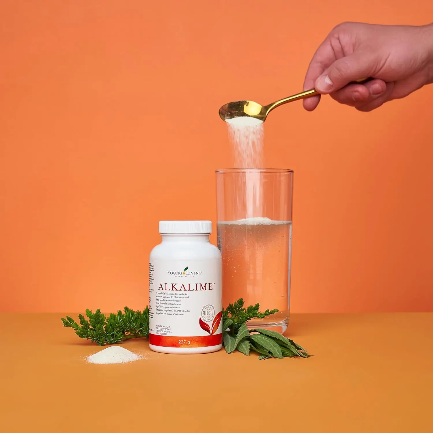 Young Living AlkaLime essential oils contain an all-natural mineral complex to help reduce acidity and promote alkalinity.